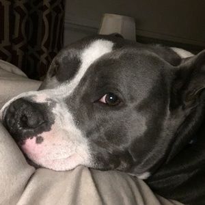 Meet your Posher, Carrie